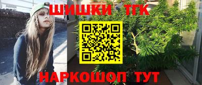 гашик Гудермес