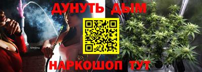 гашик Гудермес