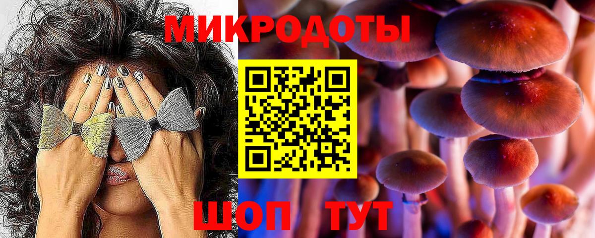 Псилоцибиновые грибы мухоморы Всеволожск
