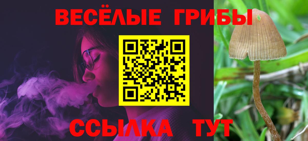 Всеволожск  Псилоцибиновые грибы мухоморы  Вход с VPN  Псилоцибиновые грибы мицелий 